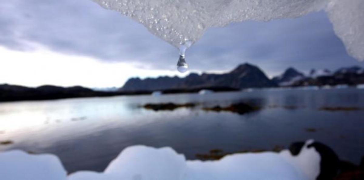 Climate Risk Disclosure Panel.jpg (Full)